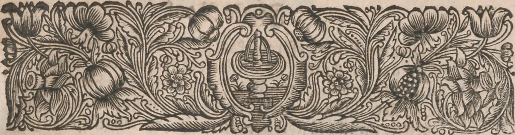 An illustration from Observationes juris practicae : thet är åthskillige påminnelser uthi rättegångs saker ... Kort beskriffning om thet som wid then Constantinopolitaniske resan är föreluppit, 1679, leaf 22