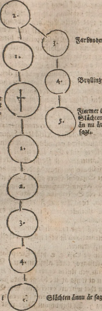 An illustration from Observationes juris practicae : thet är åthskillige påminnelser uthi rättegångs saker ... Kort beskriffning om thet som wid then Constantinopolitaniske resan är föreluppit, 1679, leaf 300