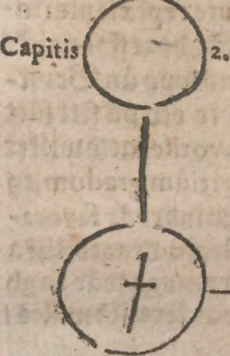 An illustration from Observationes juris practicae : thet är åthskillige påminnelser uthi rättegångs saker ... Kort beskriffning om thet som wid then Constantinopolitaniske resan är föreluppit, 1679, leaf 302