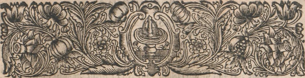 An illustration from Observationes juris practicae : thet är åthskillige påminnelser uthi rättegångs saker ... Kort beskriffning om thet som wid then Constantinopolitaniske resan är föreluppit, 1679, leaf 394