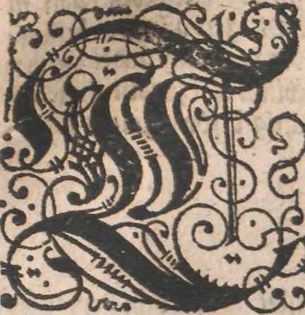 An illustration from Observationes juris practicae : thet är åthskillige påminnelser uthi rättegångs saker ... Kort beskriffning om thet som wid then Constantinopolitaniske resan är föreluppit, 1679, leaf 394