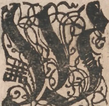 An illustration from Observationes juris practicae : thet är åthskillige påminnelser uthi rättegångs saker ... Kort beskriffning om thet som wid then Constantinopolitaniske resan är föreluppit, 1679, leaf 7