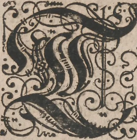 An illustration from Observationes juris practicae : thet är åthskillige påminnelser uthi rättegångs saker ... Kort beskriffning om thet som wid then Constantinopolitaniske resan är föreluppit, 1679, leaf 8