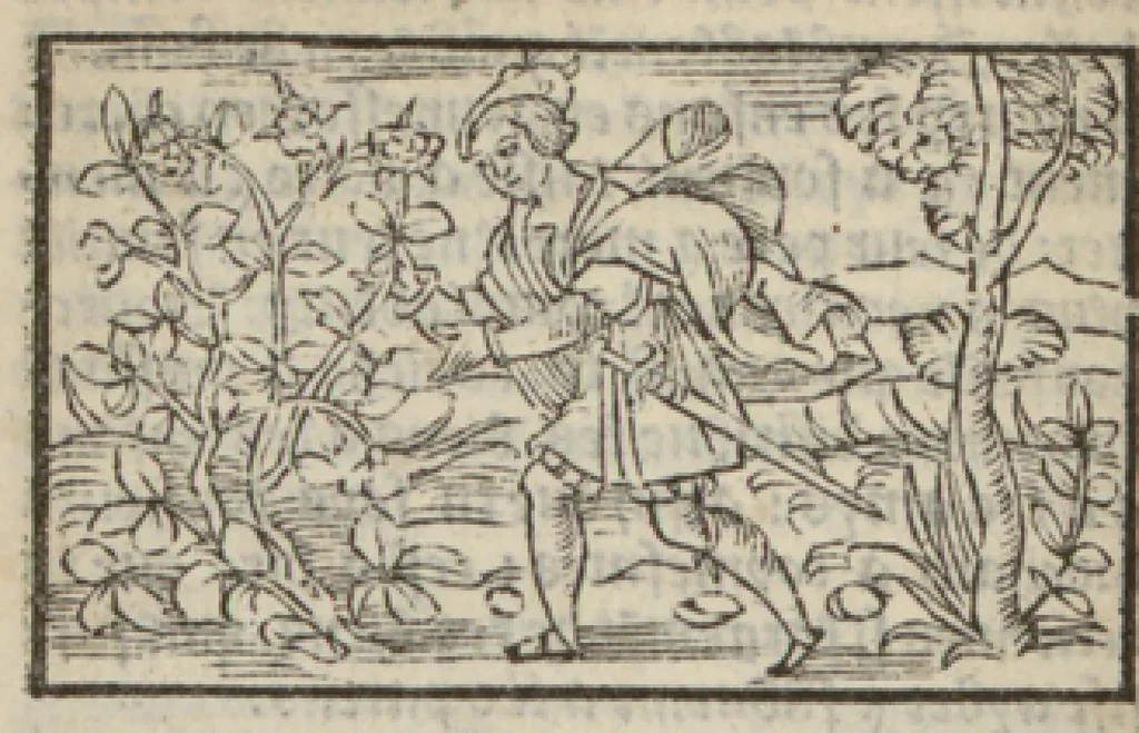 An illustration from Le mirouer du regime et gouvernement du corps & de lame : compose par le saige Caton senateur romain : auquel est comprins deux cens & ung commandement : soubz lesquelz sont comprinses plusieurs exemples aornees de plusieurs figures., 1543, leaf 135
