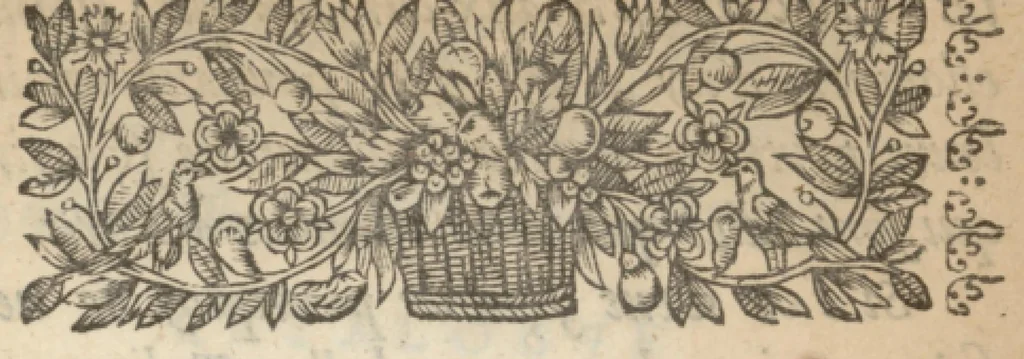 An illustration from Catalogues de quelques plantes a fleurs qui sont de present au jardin de Pierre Morin le jeune dit Troisième, fleuriste, 1651, leaf 10