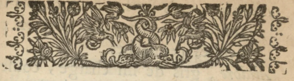 An illustration from Catalogues de quelques plantes a fleurs qui sont de present au jardin de Pierre Morin le jeune dit Troisième, fleuriste, 1651, leaf 12