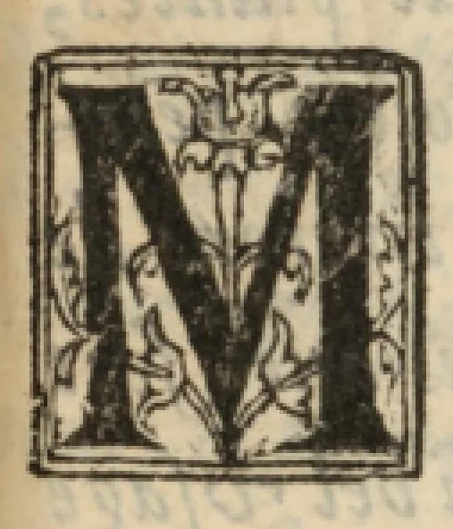 An illustration from Catalogue des plantes, tant des tulipes, que des autres fleurs qui sont à présent au jardin du sieur Jean-Baptiste Dru, 1653, leaf 10