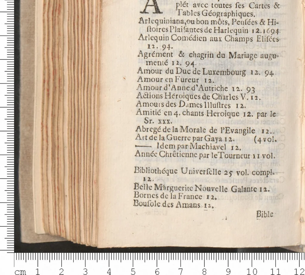 An illustration from Etat du royaume de Danemark, tel qu'il etoit en 1692, 1695, leaf 389