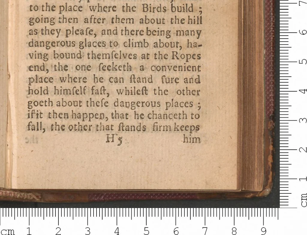 An illustration from Færoœ, et Fœroa reserata : that is a description of the islands & inhabitants of Foeroe : being seventeen islands subject to the King of Denmark, lying under 62 deg. 10 min. of north latitude. Wherein several secrets of nature are brought to light, and some antiquities hitherto kept in darkness discovered., 1676, leaf 188