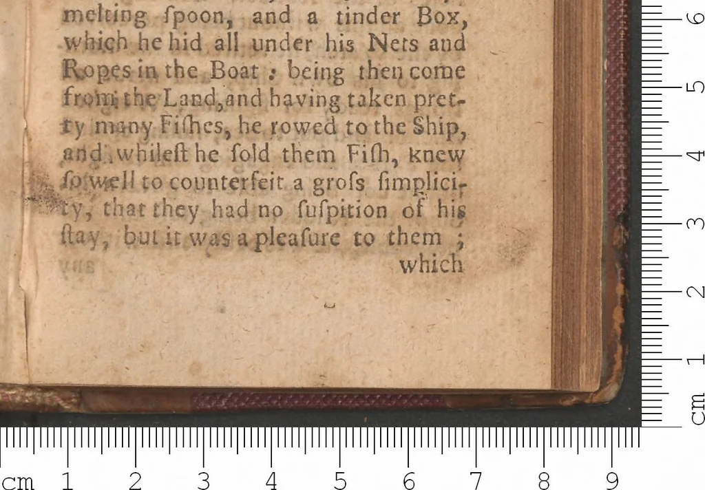 An illustration from Færoœ, et Fœroa reserata : that is a description of the islands & inhabitants of Foeroe : being seventeen islands subject to the King of Denmark, lying under 62 deg. 10 min. of north latitude. Wherein several secrets of nature are brought to light, and some antiquities hitherto kept in darkness discovered., 1676, leaf 270