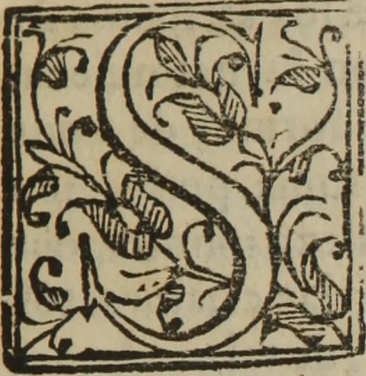An illustration from Tratado de la qualidad manifiesta, y virtud del azogue : llamado comunmente el mercurio, y por otro nombre el argentum vivum ..., 1649, leaf 26