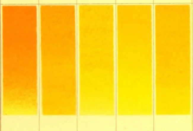 An illustration from A descriptive handbook of modern water colour pigments illustrated with seventy-two colour washes skilfully gradated by hand on Whatman's drawing paper : with an introductory essay on the recent water-colour controversy., 1887, leaf 10