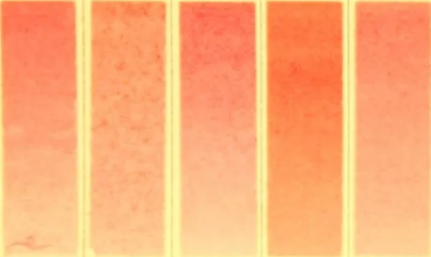 An illustration from A descriptive handbook of modern water colour pigments illustrated with seventy-two colour washes skilfully gradated by hand on Whatman's drawing paper : with an introductory essay on the recent water-colour controversy., 1887, leaf 6