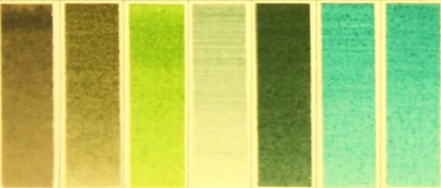 An illustration from A descriptive handbook of modern water colour pigments illustrated with seventy-two colour washes skilfully gradated by hand on Whatman's drawing paper : with an introductory essay on the recent water-colour controversy., 1887, leaf 6