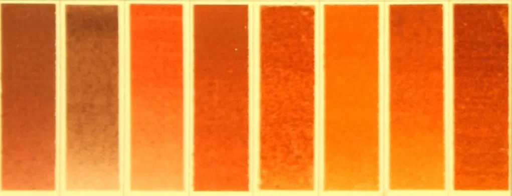 An illustration from A descriptive handbook of modern water colour pigments illustrated with seventy-two colour washes skilfully gradated by hand on Whatman's drawing paper : with an introductory essay on the recent water-colour controversy., 1887, leaf 6