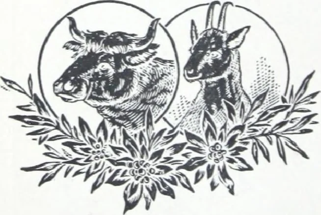 An illustration from A few suggestions for ornamental decoration : a collection of designs & colour schemes for painters' and decorators' work / compiled by F. Scott Mitchell., 1908, leaf 99