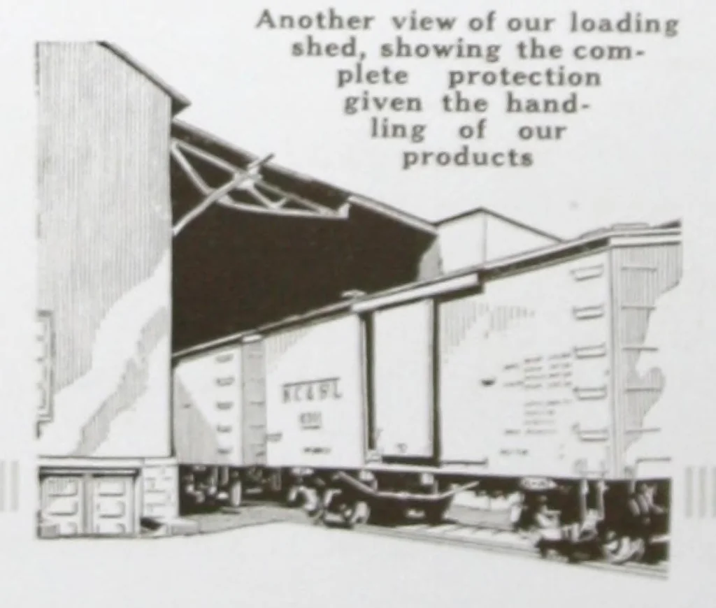 An illustration from A job that took a million years or, The tale of the clam : being the story of a commonplace article with a most uncommon history., 1925, leaf 11