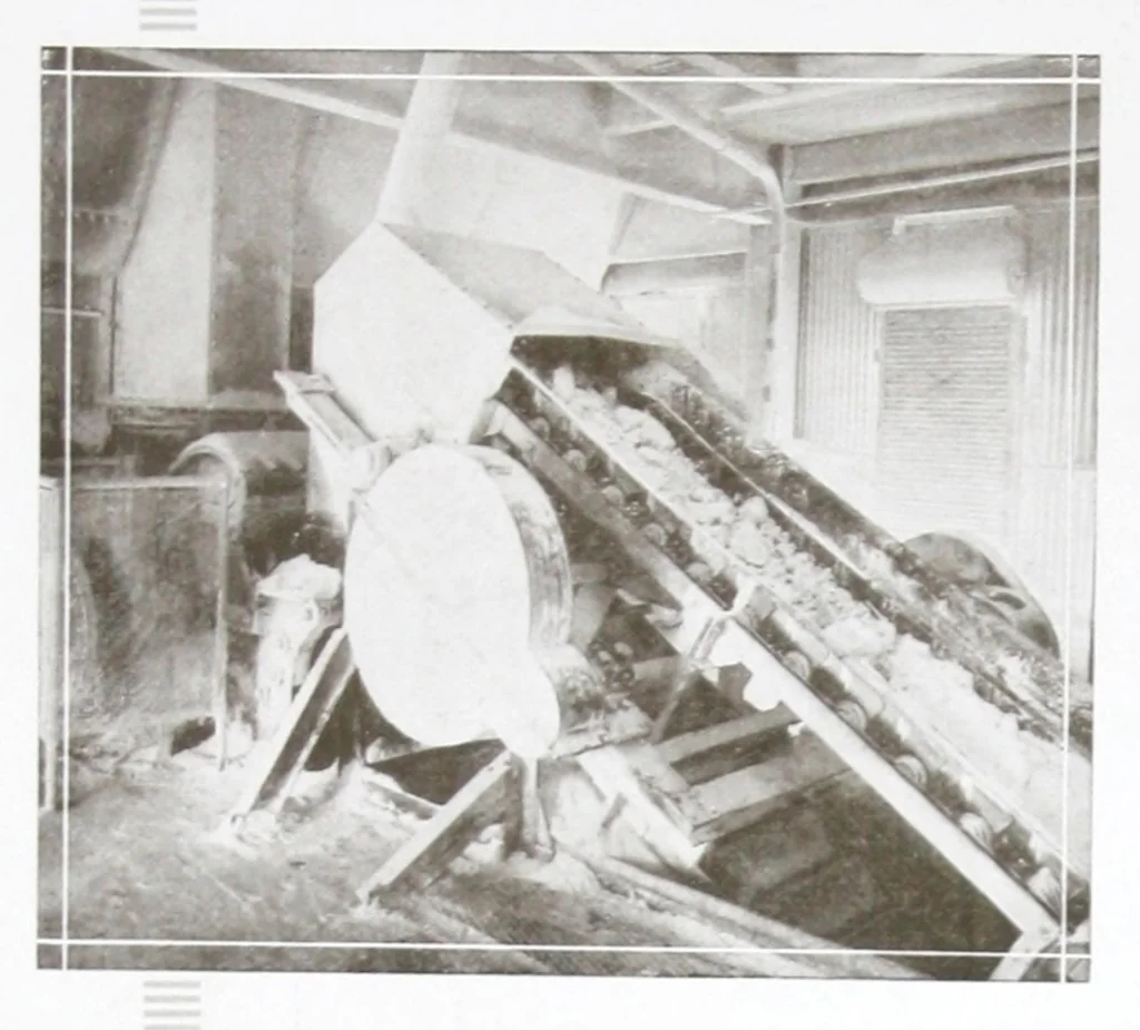 An illustration from A job that took a million years or, The tale of the clam : being the story of a commonplace article with a most uncommon history., 1925, leaf 7