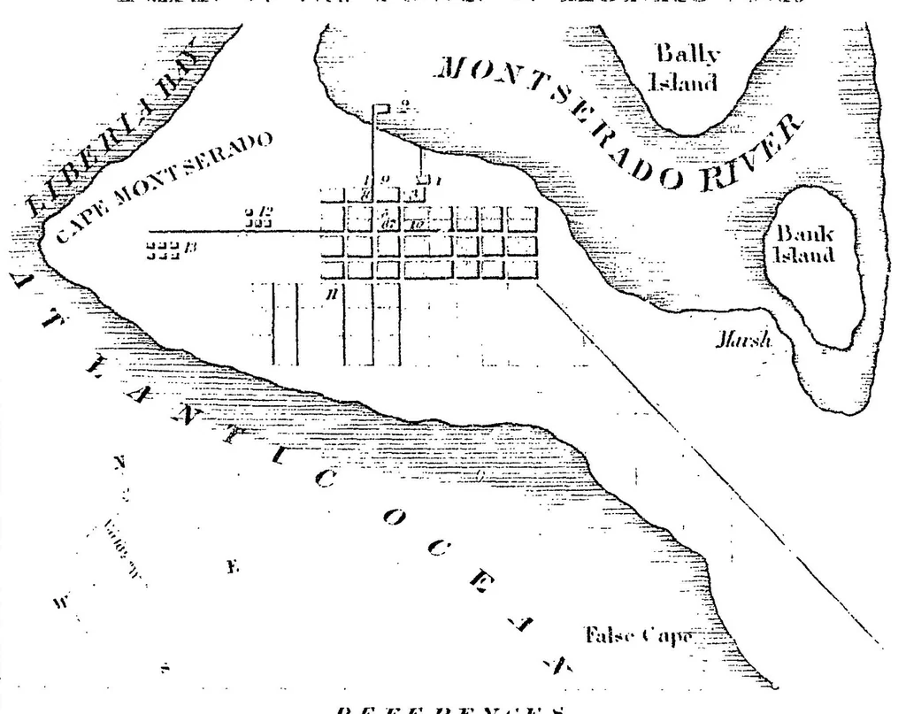 An illustration from Letters on the Colonization Society : with a view of its probable results ... : addressed to the Hon. C.F. Mercer, M.H.R.U.S., 1832, leaf 0