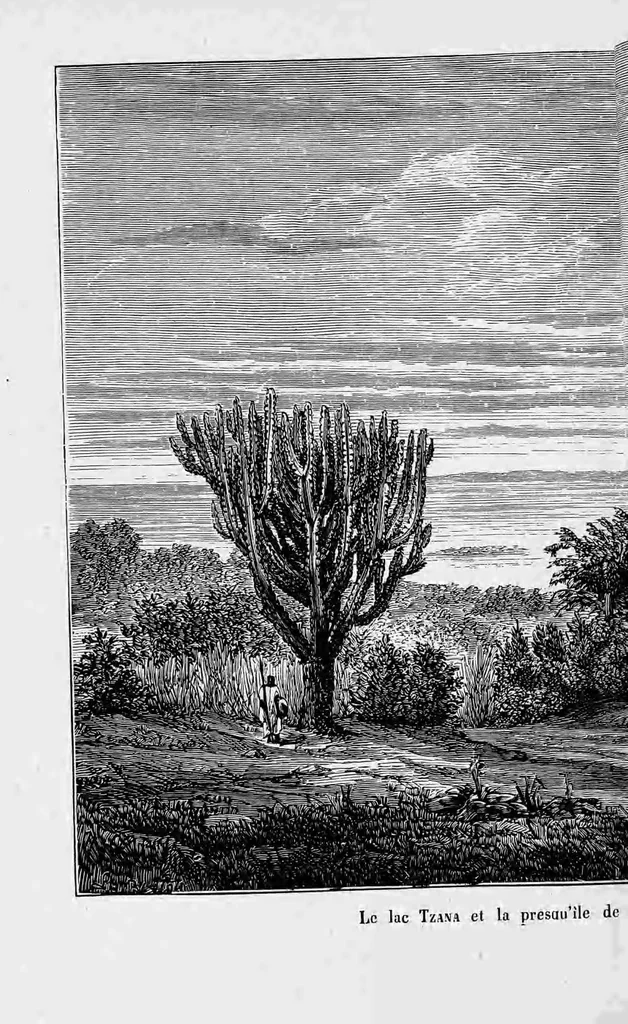 An illustration from Abyssinie, 1880, leaf 330