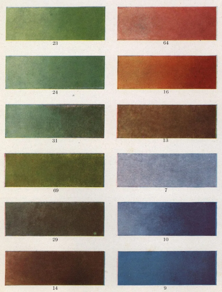 An illustration from Acme quality decorators' system of artistic and sanitary wall decorations with exclusive designs for the treatment of walls and ceilings shown in colors, stencils, and stenciling materials., 1914, leaf 10