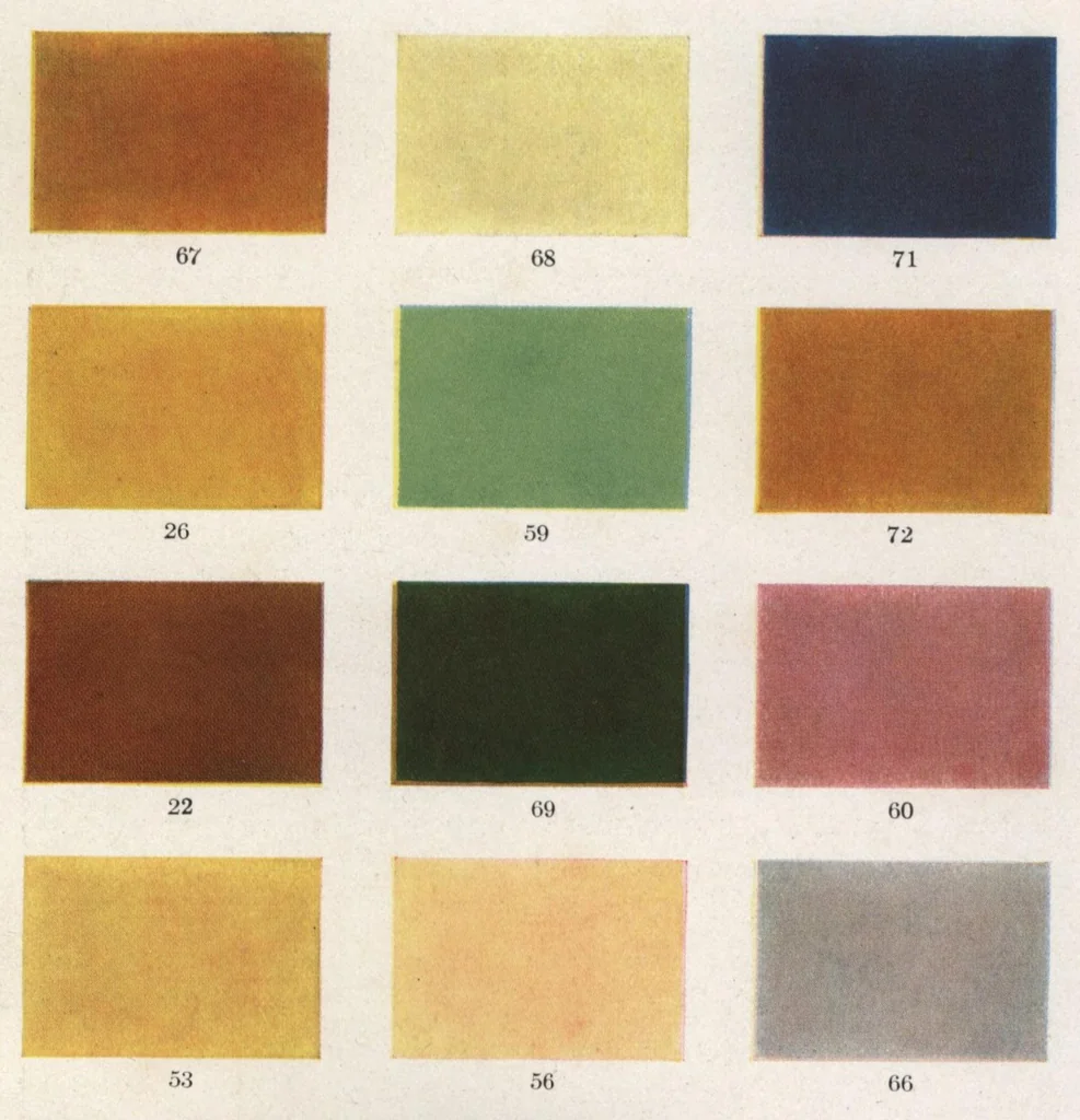 An illustration from Acme quality decorators' system of artistic and sanitary wall decorations with exclusive designs for the treatment of walls and ceilings shown in colors, stencils, and stenciling materials., 1914, leaf 8