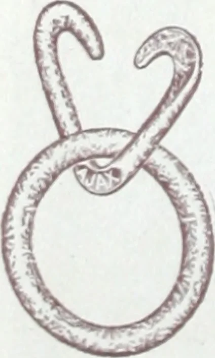 An illustration from Ajax distinctive specialties : embodying the characteristic points of merit found only in the Ajax make., 1907, leaf 5