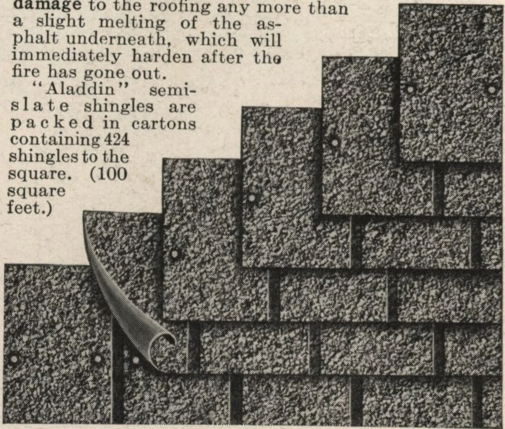 An illustration from Alladin homecraft market place, 1915, leaf 113