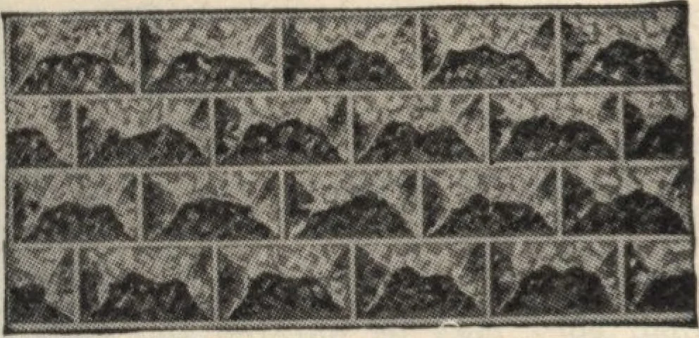 An illustration from Alladin homecraft market place, 1915, leaf 117