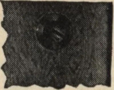 An illustration from Alladin homecraft market place, 1915, leaf 133