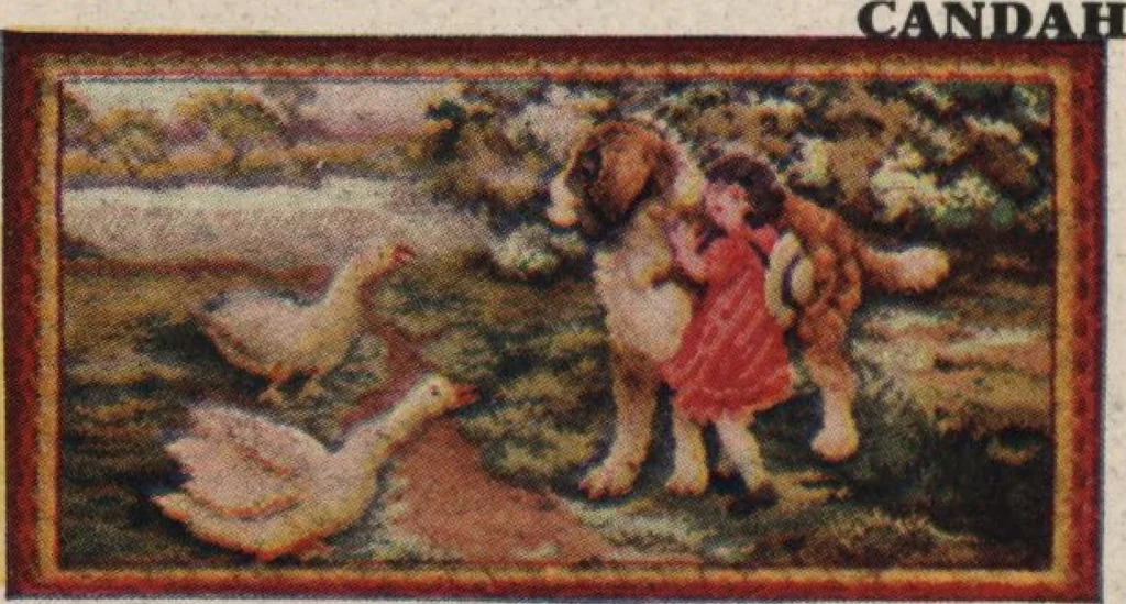 An illustration from Alladin homecraft market place, 1915, leaf 41