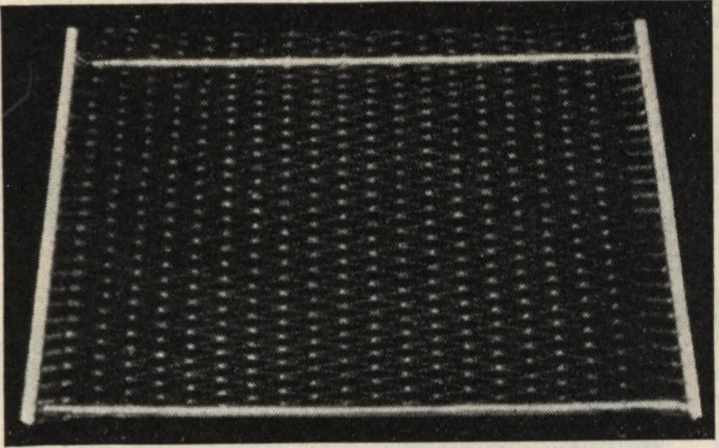 An illustration from Alladin homecraft market place, 1915, leaf 46