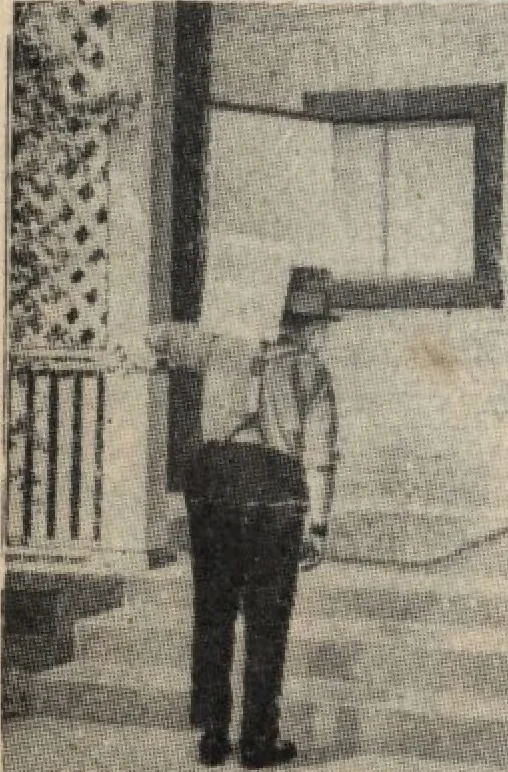 An illustration from Alladin homecraft market place, 1915, leaf 55
