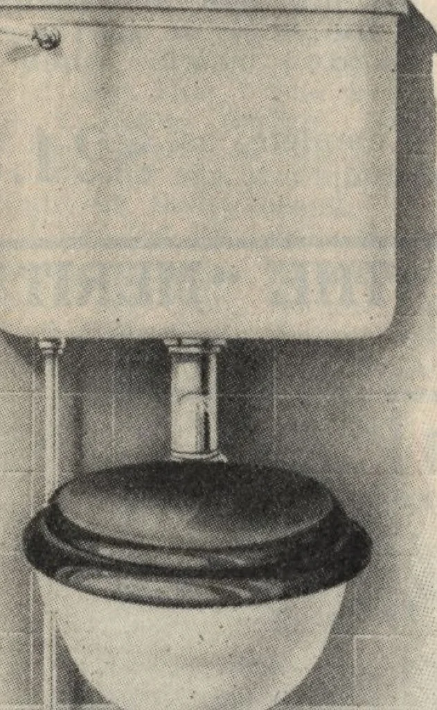 An illustration from Alladin homecraft market place, 1915, leaf 83