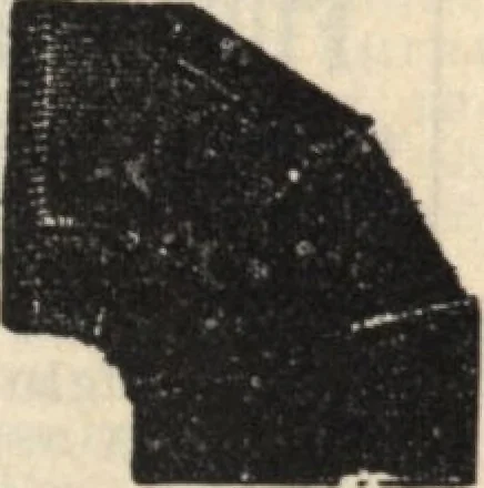 An illustration from Alladin homecraft market place, 1915, leaf 99