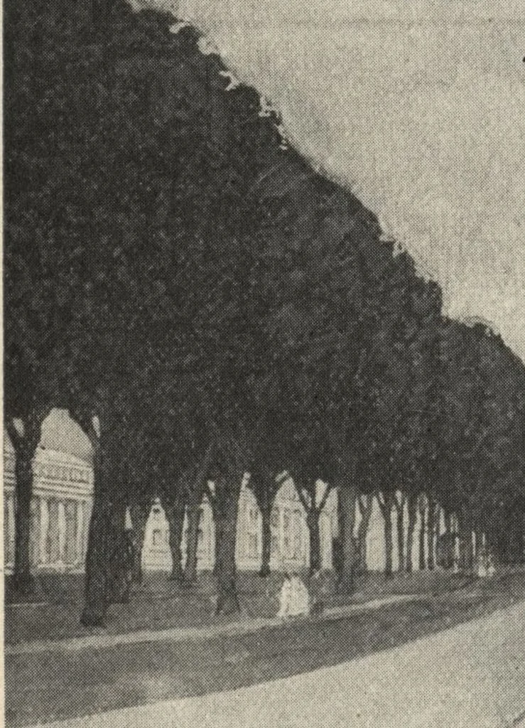 An illustration from American carpenter and builder, august 1906, 1906, leaf 31
