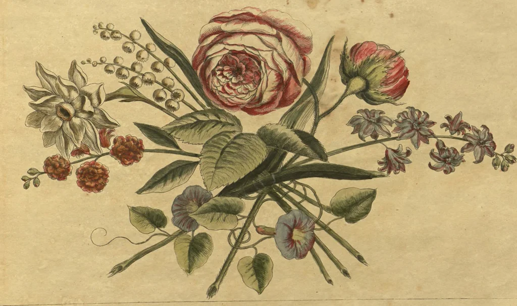 An illustration from American Drawing Magazine 1805, 1805, leaf 8