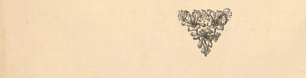 An illustration from Ancient needlepoint and pillow lace : with notes on the history of lace-making and descriptions of thirty examples, 1875, leaf 13