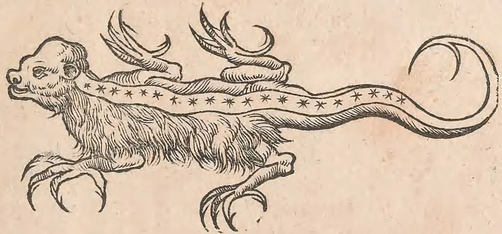An illustration from Appendix historiae quadrupedum uiuiparorum & ouiparorum Conradi Gesneri Tigurini, 1554, leaf 30