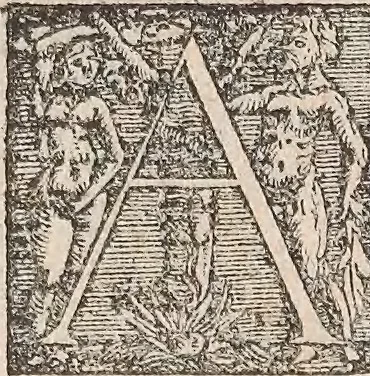 An illustration from Appendix historiae quadrupedum uiuiparorum & ouiparorum Conradi Gesneri Tigurini, 1554, leaf 5