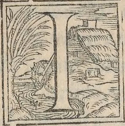 An illustration from Aquatilium animalium historiae, liber primus : cum eorumdem formis, aere excusis, 1554, leaf 10