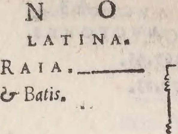 An illustration from Aquatilium animalium historiae, liber primus : cum eorumdem formis, aere excusis, 1554, leaf 105
