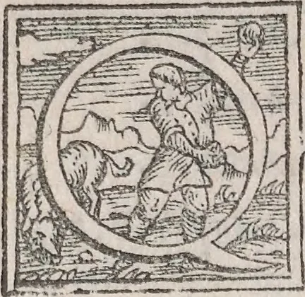 An illustration from Aquatilium animalium historiae, liber primus : cum eorumdem formis, aere excusis, 1554, leaf 131