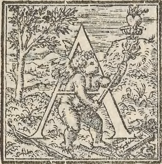 An illustration from Aquatilium animalium historiae, liber primus : cum eorumdem formis, aere excusis, 1554, leaf 134