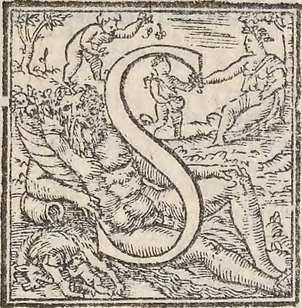 An illustration from Aquatilium animalium historiae, liber primus : cum eorumdem formis, aere excusis, 1554, leaf 138