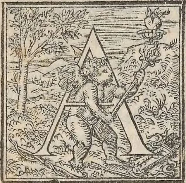 An illustration from Aquatilium animalium historiae, liber primus : cum eorumdem formis, aere excusis, 1554, leaf 148