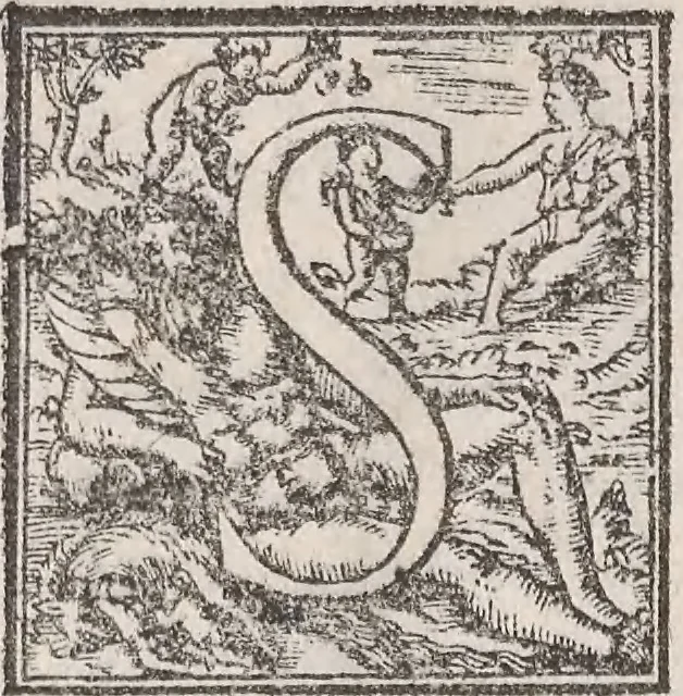An illustration from Aquatilium animalium historiae, liber primus : cum eorumdem formis, aere excusis, 1554, leaf 155