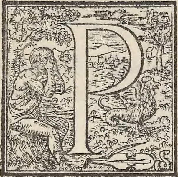 An illustration from Aquatilium animalium historiae, liber primus : cum eorumdem formis, aere excusis, 1554, leaf 158