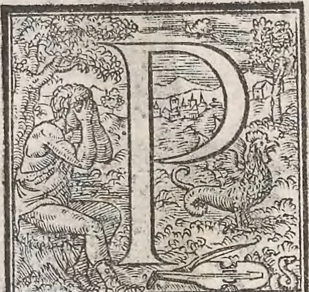 An illustration from Aquatilium animalium historiae, liber primus : cum eorumdem formis, aere excusis, 1554, leaf 161