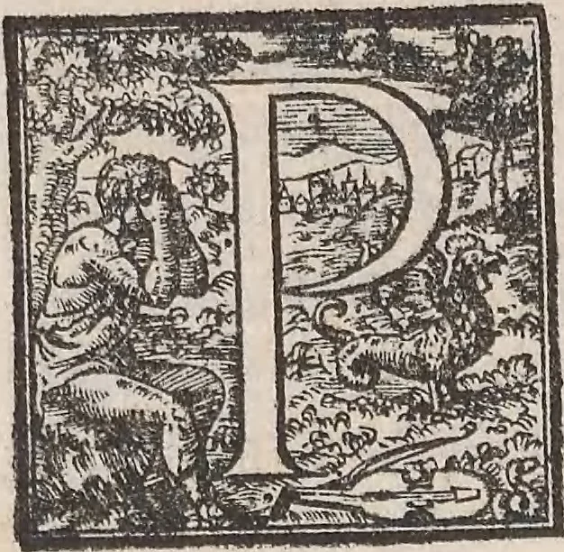 An illustration from Aquatilium animalium historiae, liber primus : cum eorumdem formis, aere excusis, 1554, leaf 169